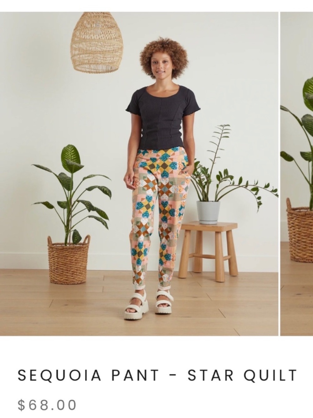Known Supply pants